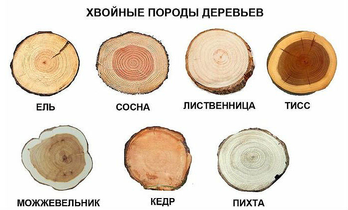 Хвойные породы дерева для обшивки лестниц